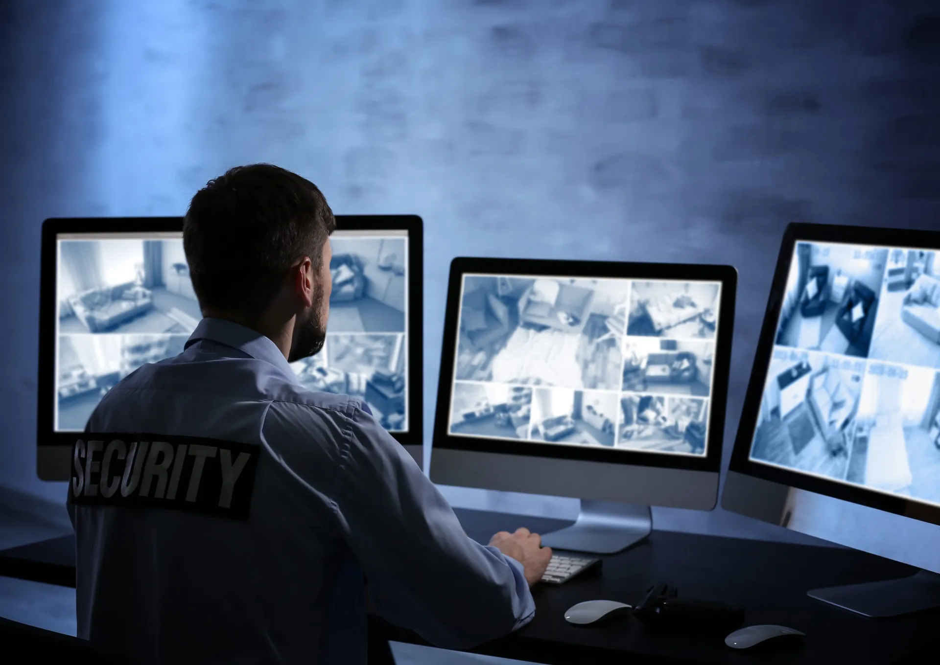 Security monitoring screens for a commercial facility